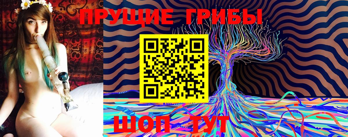 Галлюциногенные грибы прущие грибы Сочи