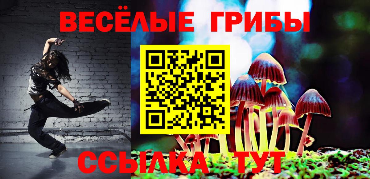 Сочи  Псилоцибиновые грибы мицелий  Вход с VPN  купить  сайты  Галлюциногенные грибы прущие грибы 